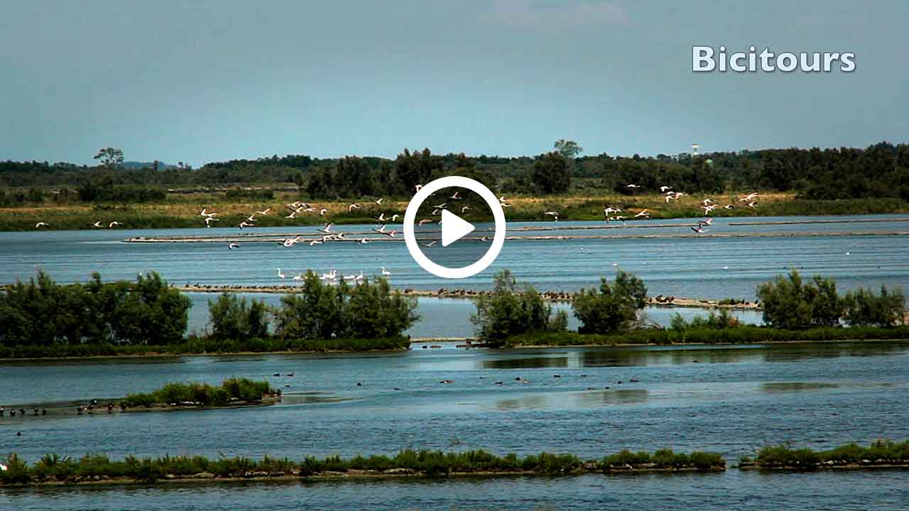 In bicicletta sul Delta del Po Veneto