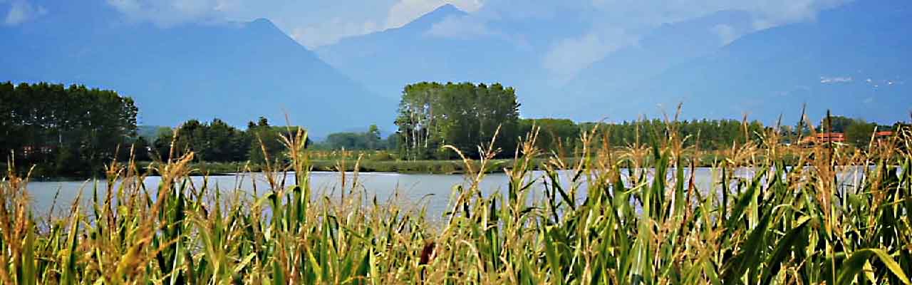 Giro del Lago di Candia in bicicletta