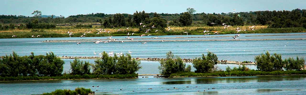 In bicicletta sul Delta del Po Veneto - Rovigo Veneto