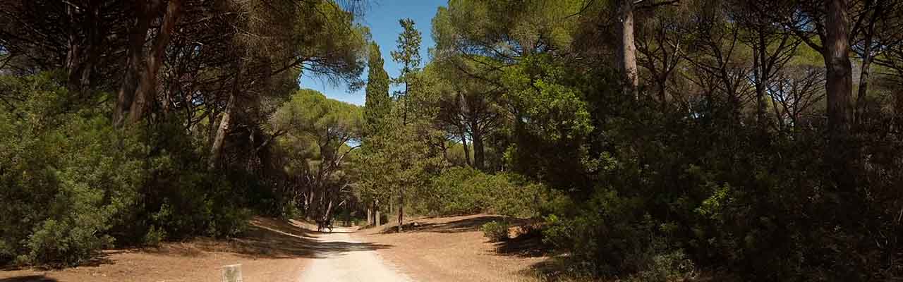 Orbetello Ansedonia in bici