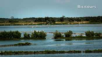 In bicicletta sul Delta del Po Veneto