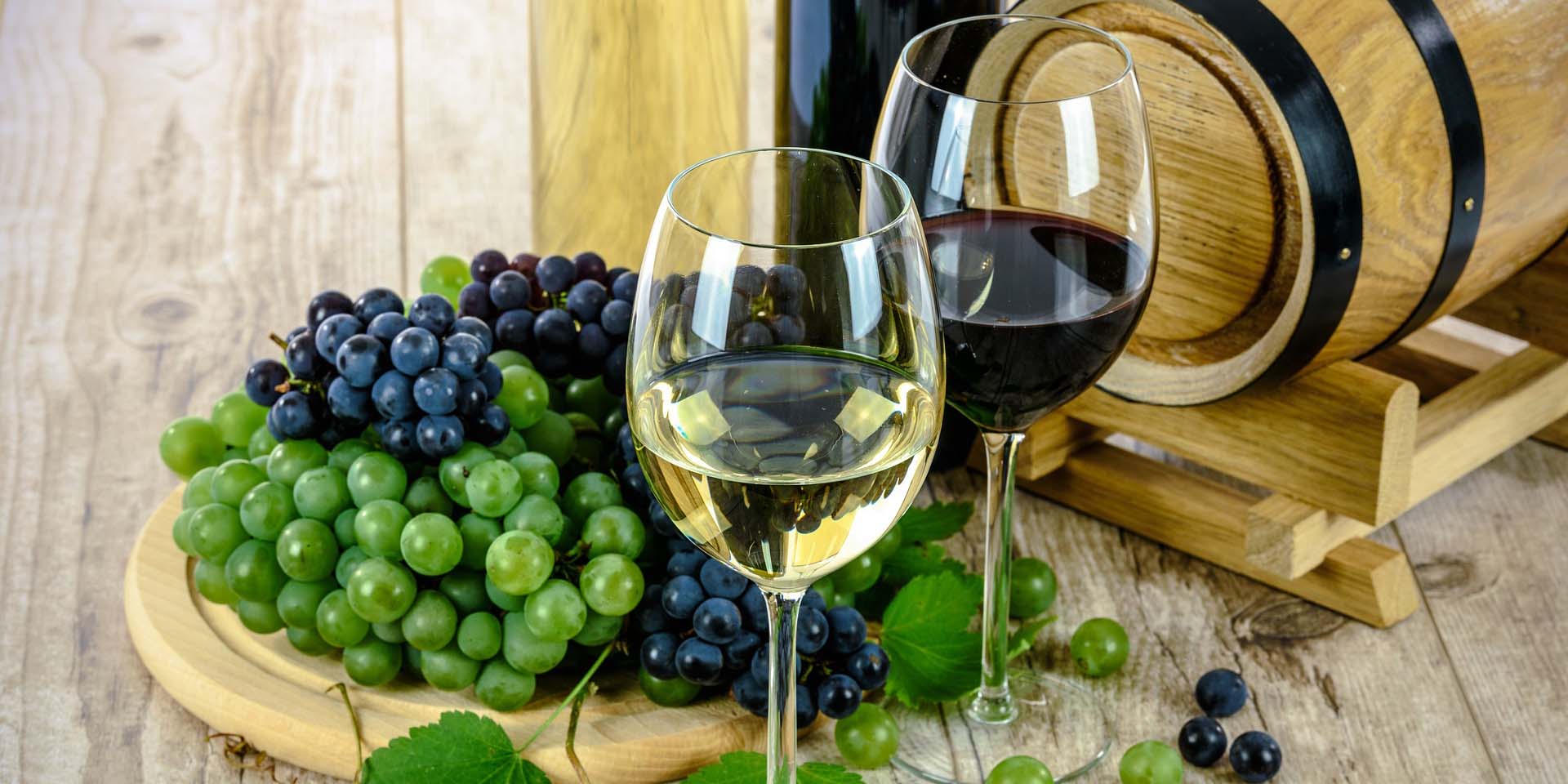 I Vini del Piemonte: Un Viaggio tra Vini Rossi e Bianchi di Eccellenza
