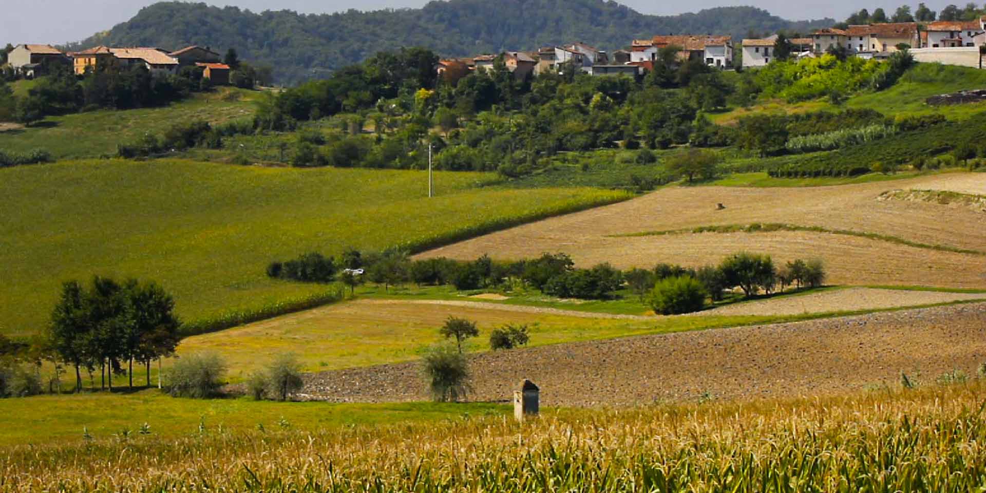 Itinerari in bicicletta nel Monferrato