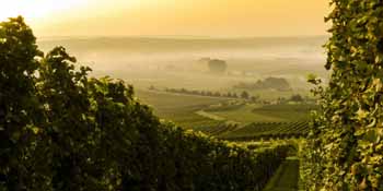Bra Barbaresco in bicicletta lungo le vie del vino