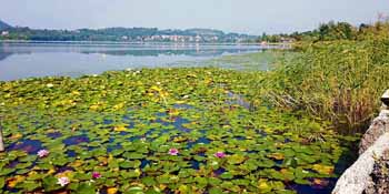 Itinerario in bici Sesto Calende Varese Lombardia