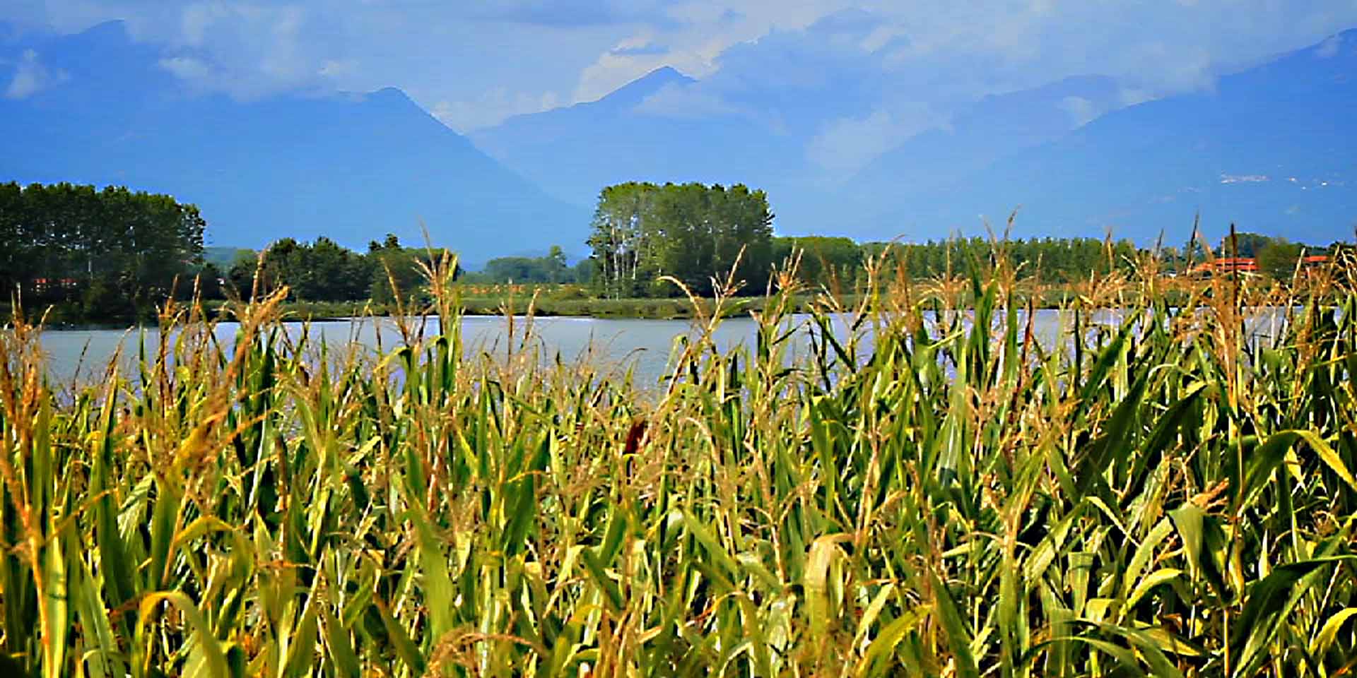 Giro del Lago di Candia in bicicletta