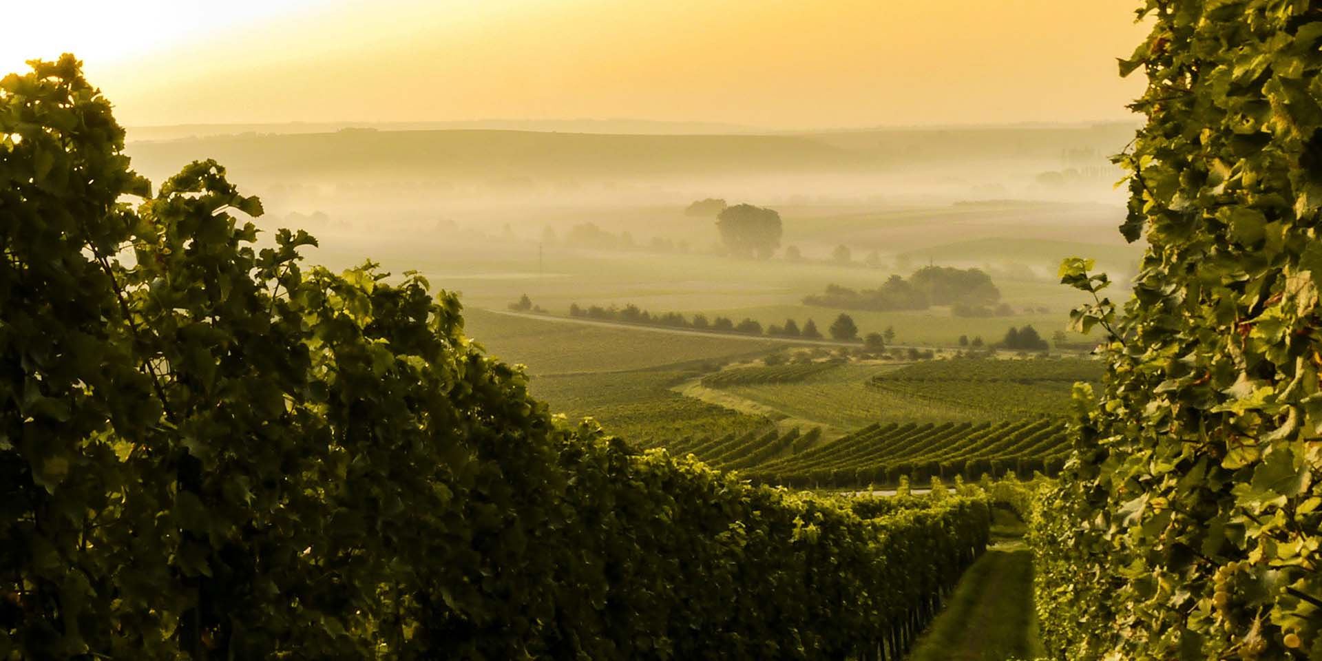 Bra Barbaresco in bicicletta lungo le vie del vino