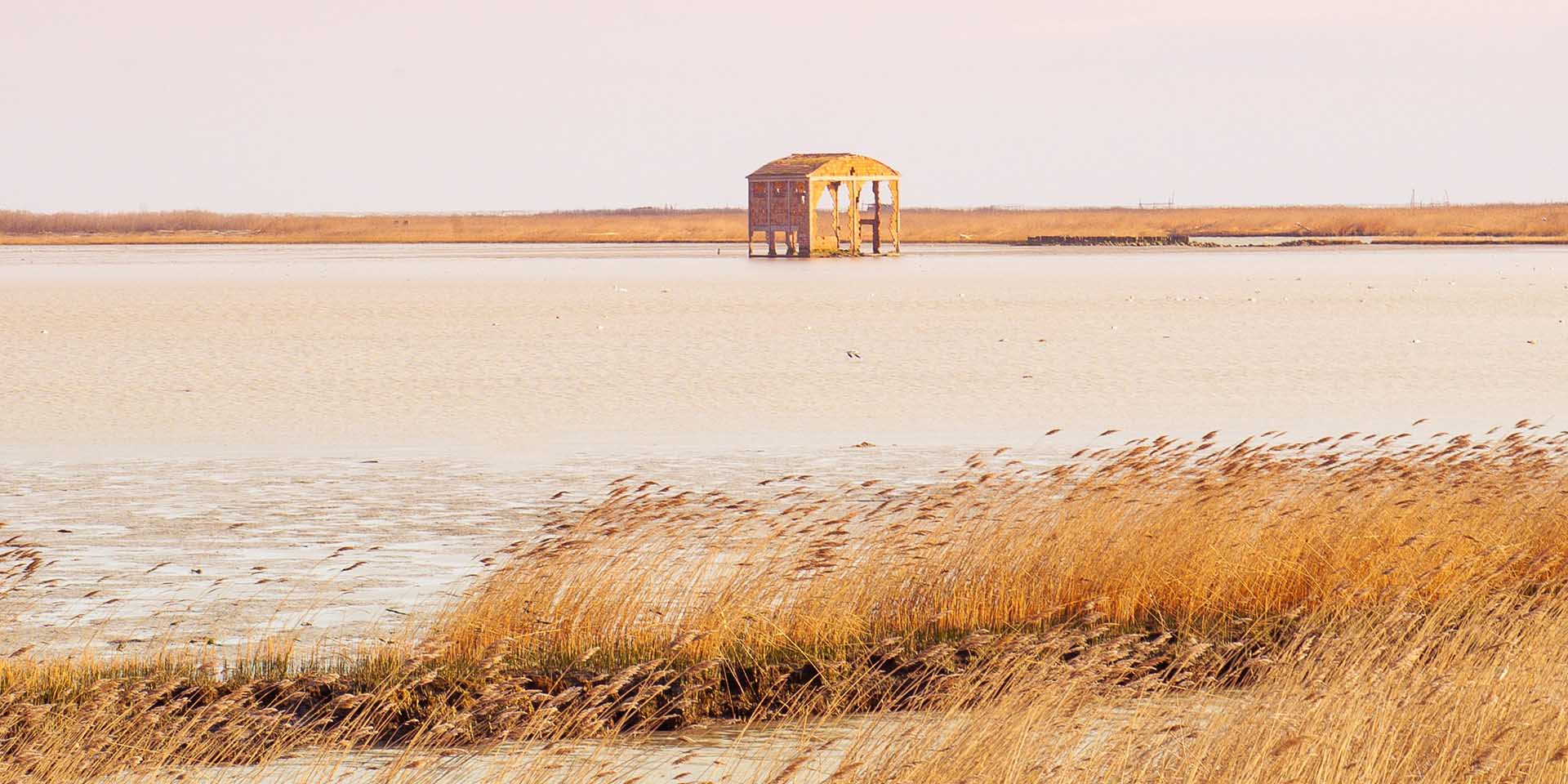 In bicicletta sul Delta del Po Veneto
