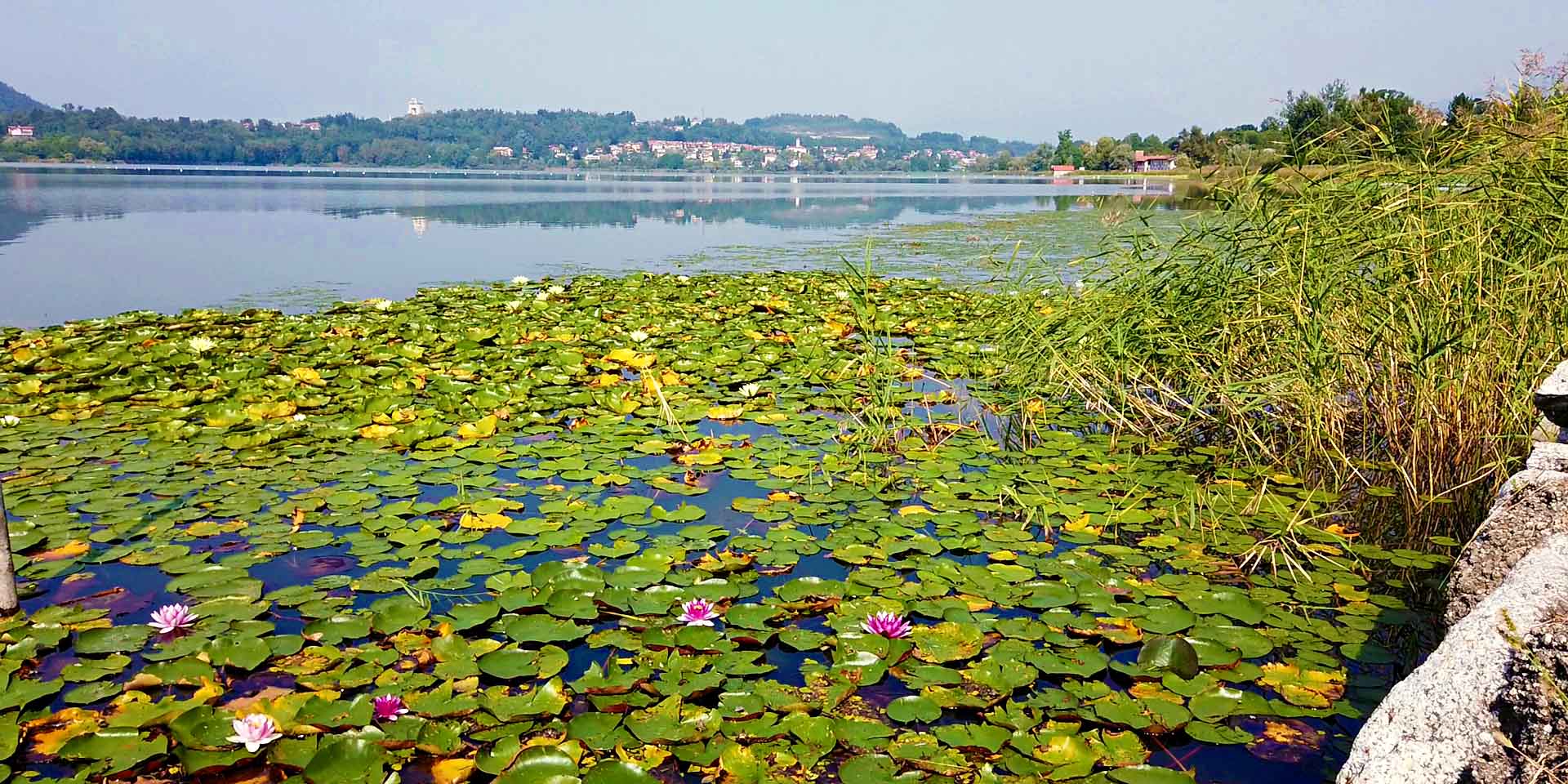 Itinerario in bici Sesto Calende Varese Lombardia