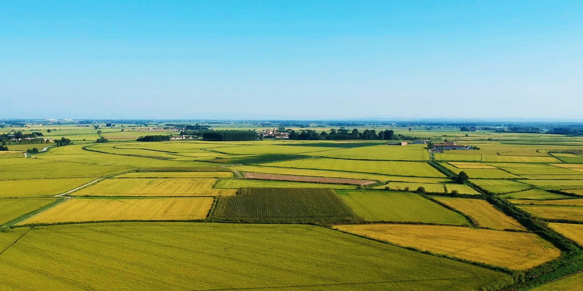 Le Garzaie della Lomellina in bici
