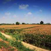 La Via delle Risorgive in bici