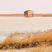 In bicicletta sul Delta del Po Veneto