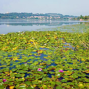 Itinerario in bici Sesto Calende Varese Lombardia