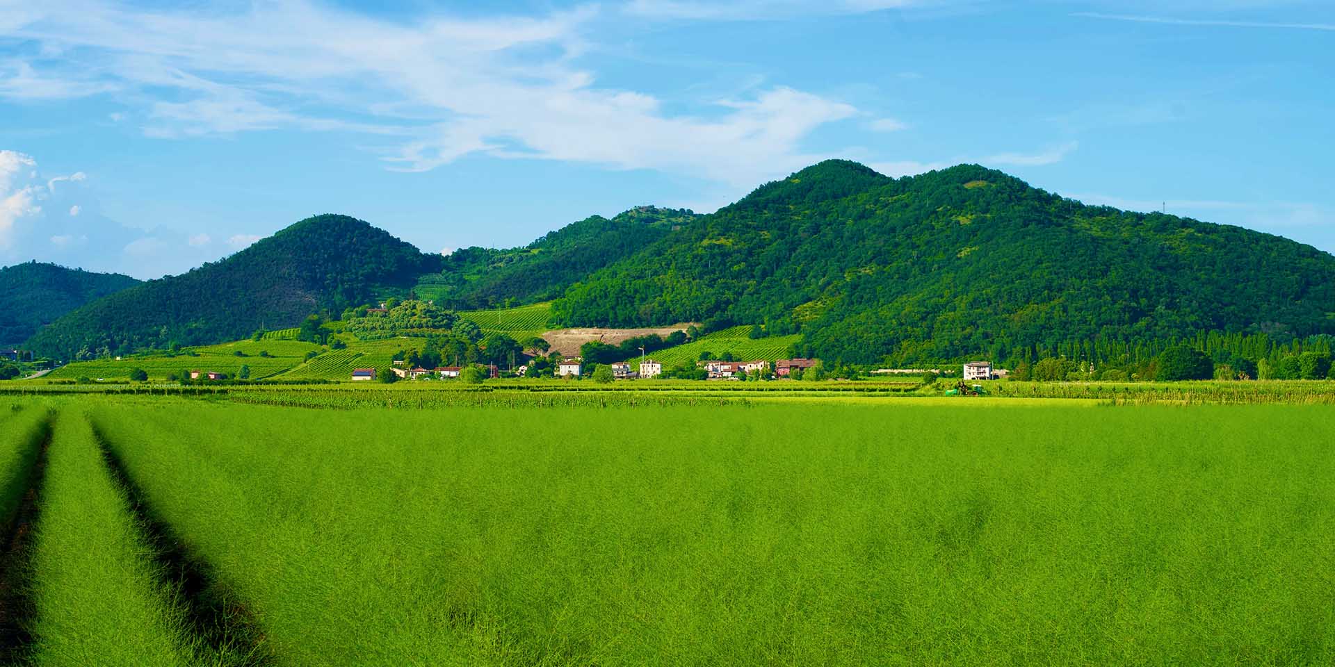 Parco dei Colli Euganei Padova Veneto